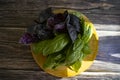 Fresh basil on old background flavoring vegan salad raw