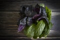 Fresh basil on old background flavoring vegan salad raw healthy