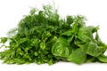 Fresh basil,parsley and dill