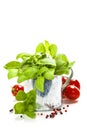 Fresh basil in the pot and italian ingredients