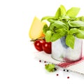 Fresh basil in the pot and italian ingredients Royalty Free Stock Photo