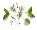 Fresh basil, rosemary leaves and peper isolated on white background. With clipping path. Transparent background and natural Royalty Free Stock Photo