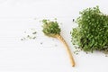 Fresh basil sprouts on linen mat and spoon on white wood. Growing microgreens at home. Sprouter