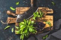 Fresh basil and vintage herb chopper on rustic wooden board Royalty Free Stock Photo
