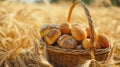 Fresh Basket with bread and rolls. Blurred wheat field summer background Royalty Free Stock Photo