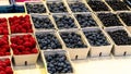 Fresh Baskets of Organically grown raspberries, blackberries and blueberries for sale at the downtown farmers market. Royalty Free Stock Photo