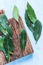 Fresh bay leaves herb on pastel wooden table