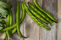 Fresh bean pods..The broad bean is a species of flowering plant in the Fabaceae family of peas and beans. In young plants the Royalty Free Stock Photo