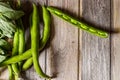 Fresh bean pods..The broad bean is a species of flowering plant in the Fabaceae family of peas and beans. In young plants the Royalty Free Stock Photo