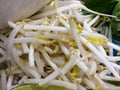 Fresh bean sprout close up Royalty Free Stock Photo