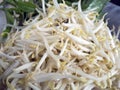 Fresh bean sprout Royalty Free Stock Photo