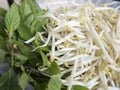 Fresh bean sprout and sweet basil Royalty Free Stock Photo