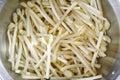 Fresh bean sprout Royalty Free Stock Photo