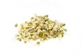 Fresh Bean Sprouts