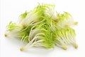 Fresh bean sprouts on clean white background for eye catching ads and packaging designs Royalty Free Stock Photo