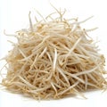 Fresh bean sprouts on a white background Royalty Free Stock Photo