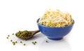 Fresh bean sprouts on white Royalty Free Stock Photo