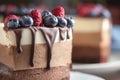 Fresh beautiful chocolate cake with fruit and berry