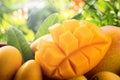 Fresh and beautiful mango fruit in a bamboo basket