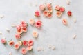 Fresh Beautiful Mini Roses On Textured Background Royalty Free Stock Photo