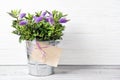 Fresh beautiful purple Hebe flowers in a bucket with empty card, wooden background with copy space Royalty Free Stock Photo