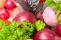 Fresh beautiful vegetables. yield Royalty Free Stock Photo