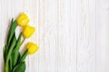 Fresh beautiful yellow tulips on white wooden background. Royalty Free Stock Photo