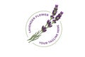 Fresh Beauty Fragrant Violet Lavender Flower Branch Logo Icon Illustration