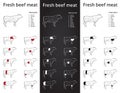 Fresh Beef meat cuts set Royalty Free Stock Photo