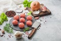 Fresh beef raw meatballs on stone board with pepper, salt and garlic on light background with dill,parsley and dill