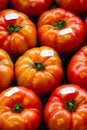 Fresh beefsteak tomatoes Royalty Free Stock Photo