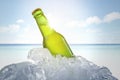 Fresh beer bottle in ice with beach background Royalty Free Stock Photo