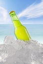 Fresh beer in the bottle with ice cube at beach Royalty Free Stock Photo