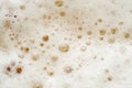 Fresh Beer foam texture. Macro detail of beer bubble and foam. Royalty Free Stock Photo