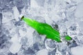 A fresh beer in ice cube Royalty Free Stock Photo