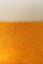 Fresh beer macro Royalty Free Stock Photo