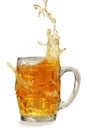 Fresh beer splash Royalty Free Stock Photo