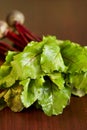 Fresh beet Royalty Free Stock Photo