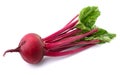 Fresh beet Royalty Free Stock Photo