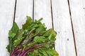 Fresh beet leaf bunch Royalty Free Stock Photo