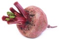 Fresh Beet Royalty Free Stock Photo