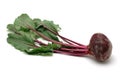 Fresh beet root