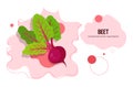 Fresh beet sticker tasty vegetable icon healthy food concept horizontal copy space