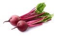 Fresh beet Royalty Free Stock Photo