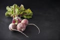 Fresh beetroot bunch on blackboard Royalty Free Stock Photo