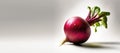 Fresh beetroot on a gray background with sheets. Vegetable isolate. Farm vitamins. AI generated. Header banner mockup with space Royalty Free Stock Photo