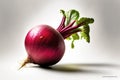 Fresh beetroot on a gray background with sheets. Vegetable isolate. Farm vitamins. AI generated Royalty Free Stock Photo