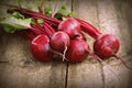 Fresh beetroot i on rustic wooden background. Harvest vegetable cooking conception . Diet or vegetarian food concept