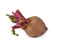 Fresh beetroot isolated on white background Royalty Free Stock Photo