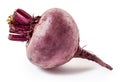 Fresh beetroot isolated on white Royalty Free Stock Photo